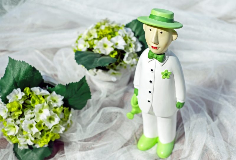 ecommerce-VINS SUR CARAMY-min_man-person-flower-green-toy-fig-546529-pxhere.com